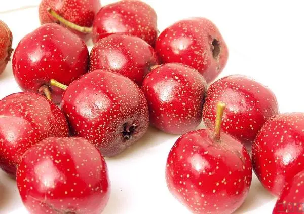 Ekstrakt Gloga za srce